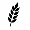 Generic grain